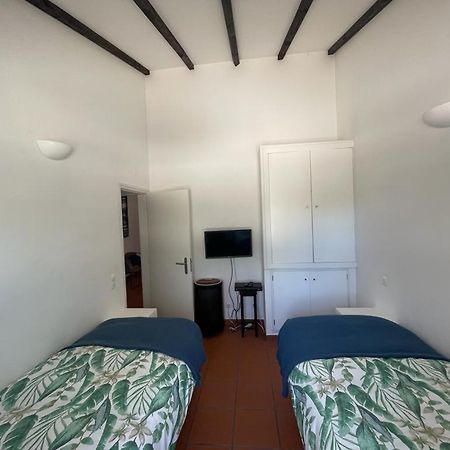 Casa Das Oliveiras 阿维斯 外观 照片