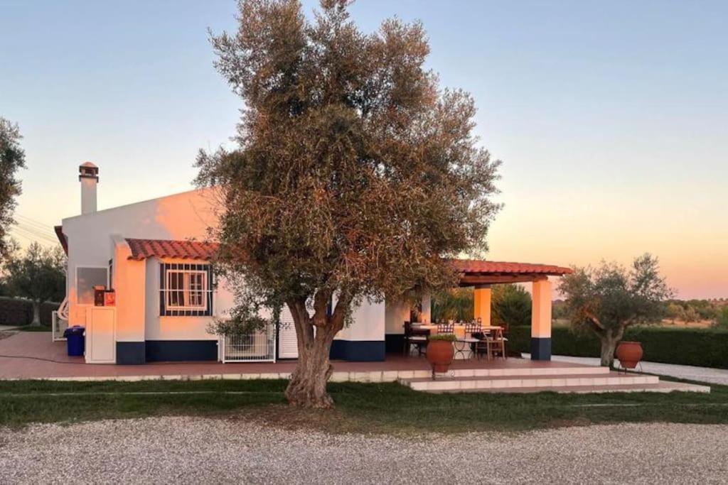 Casa Das Oliveiras 阿维斯 外观 照片