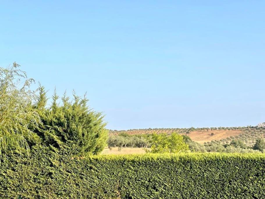Casa Das Oliveiras 阿维斯 外观 照片
