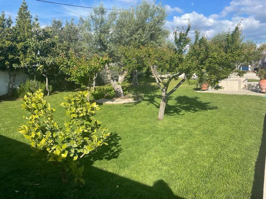 Casa Das Oliveiras 阿维斯 外观 照片