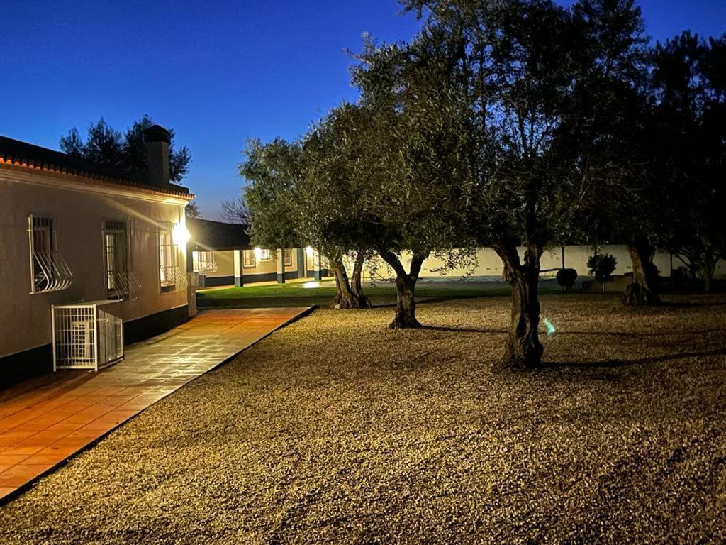 Casa Das Oliveiras 阿维斯 外观 照片
