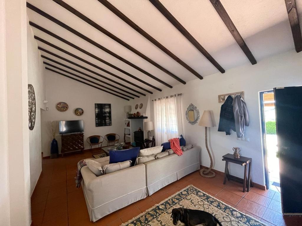 Casa Das Oliveiras 阿维斯 外观 照片
